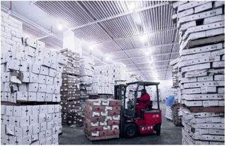 上海到遼寧冷凍物流 上海至遼寧食品冷鏈運(yùn)輸公司信譽(yù)好的