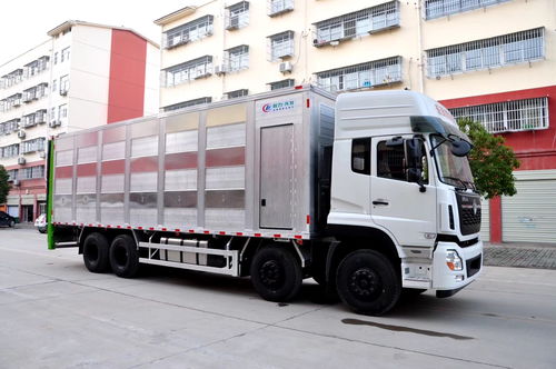 滁州運輸 秦皇島生豬運輸車專業廠家選擇指南